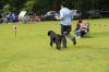 IMG_0844.jpg
