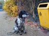 01-11-2009_020.jpg