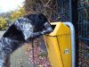 01-11-2009_024.jpg