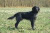 14_Floris_v__t_Exelse_Veld_aanlegproef_21-3-2009_008.jpg