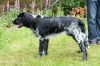 15_Sparky_van_de_Stommeerpolder_clubmach_19-9-2010_324.jpg