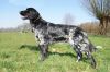 18_Eska_v__t_Exelse_Veld_aanlegproef_21-3-2009_127.jpg