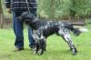 18_clubmatch_2011_042.jpg