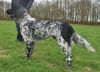 1_Baron_Paco_von_Cayer_Blanck_120331vj_(111).jpg