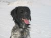 20100130huisensam_020.jpg