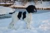 20101218_29.JPG