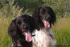 2012-05-29_Lesca_Onyx_BB.JPG