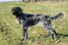 21_Carly_vd_Berkelse_Akkers_aanlegproef_21-3-2009_035.jpg