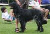 22_Aida_van__t_Exelseveld_clubmatch_28-6-2009_223_klein.jpg