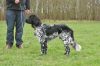 2_Baron_Dex_von_Cayer_Blanck_(Floyd)_120331vj_(122).jpg