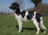 2_Johanna(Kelbie)_v__tProostmeer_aanlegproef_21-3-2009_169.jpg