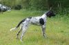 2_Kelbie_van__t_Proostmeer_clubmach_19-9-2010_548.jpg