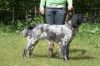33_Aleska_van__t_Vriezebosch_clubmach_19-9-2010_229.jpg