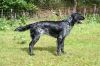 38_Franka_van__t_Exelseveld_clubmach_19-9-2010_146.jpg