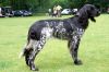38_Freya_van__t_Exelseveld_clubmatch_28-6-2009_232_klein.jpg