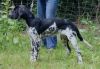 3_Kwinsey_van__t_Proostmeer_clubmach_19-9-2010_534.jpg