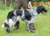 43_Aya_van_Dorka_s_Plek__clubmach_19-9-2010_027.jpg
