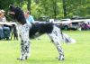46_Ayla_van_de_Schaarsheide_clubmatch_28-6-2009_304_klein.jpg