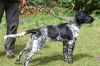 4_Kay_van__t_Proostmeer_clubmach_19-9-2010_550.jpg