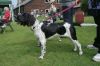 4_Tayra_clubmatch_28-6-2009_073_klein.jpg