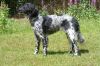 54_Bonnie_van_de_Stommeerpolder_clubmach_19-9-2010_412.jpg
