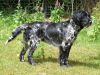 57_Eska_van__t_Exelseveld_clubmach_19-9-2010_379.jpg