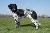 5_Jaika_v__t_Proostmeer_aanlegproef_21-3-2009_072.jpg