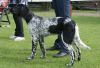 5_Nanda_clubmatch_28-6-2009_080_klein.jpg