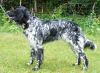 61_Ned__Kamp__Lieke_van__t_Burchtbos_clubmach_19-9-2010_044.jpg