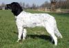6_Jetje_v__t_Proostmeer__aanlegproef_21-3-2009_066.jpg
