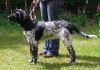 6_Jull_van__t_Exelse_Veld_clubmach_19-9-2010_645.jpg