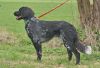 7_Barones_Francisca_von_Cayer_Blanck_120331vj_(102).jpg