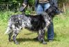 7_Ned__Kamp__Anieck_van__t_Meekenesch_clubmach_19-9-2010_301~0.jpg