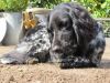 Abby_archief_005.jpg