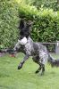 Abby_archief_011.jpg