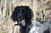 Abby_archief_067.jpg