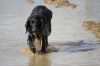 Abby_archief_158.jpg