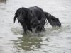 Abby_von_Cayer_Blanck_aan_zee.jpg