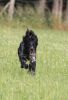 Abby_von_Cayer_Blanck~0.JPG