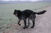 Abby_von_Cayer_Blanck~0.jpg