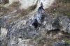 Baron_Paco_(Casper)_von_Cayer_Blanck_16-01_2012.jpg