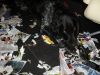 Barones_Abbygail_von_Cayer_Blanck_14-01-2012.jpg
