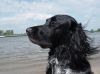 DSC00033.JPG
