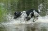 DSC00588.jpg