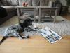 DSC01045.JPG