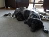 DSC01153.JPG