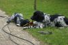 DSC01771.JPG