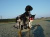 DSC02515.JPG