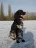 DSC02534.JPG