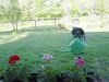 DSC02611.JPG